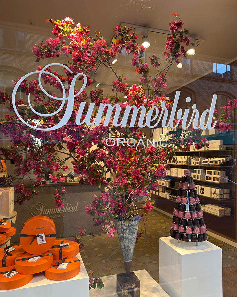 Sommer_vindue